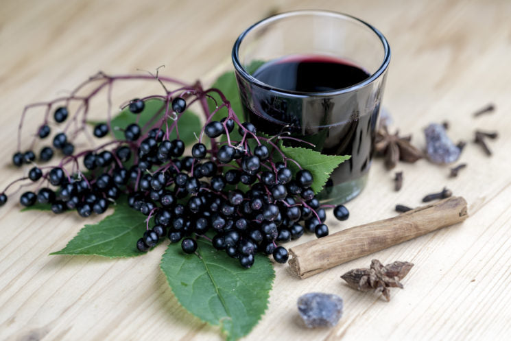 Elderberry Infusion Syrup